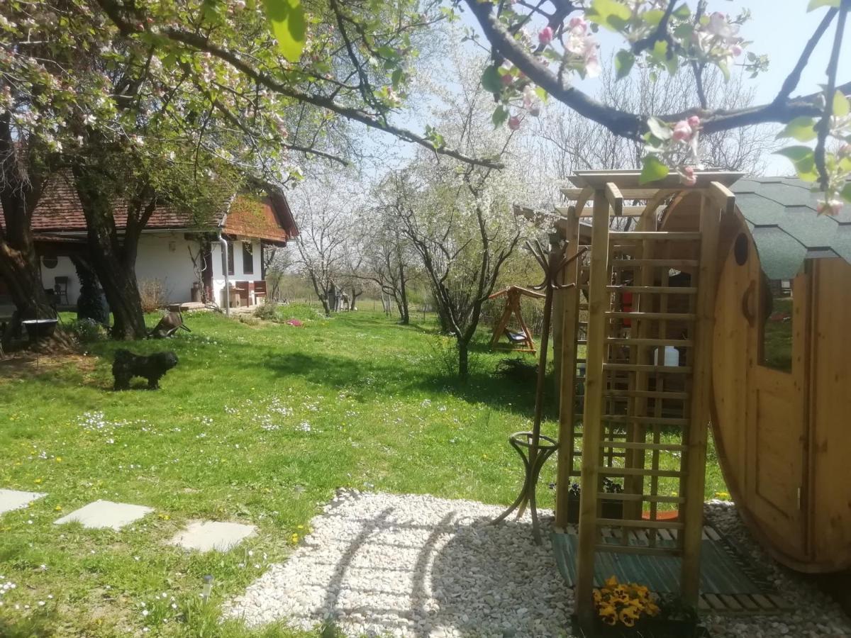 فندق Fecskefeszek Vendeghaz Őriszentpéter المظهر الخارجي الصورة